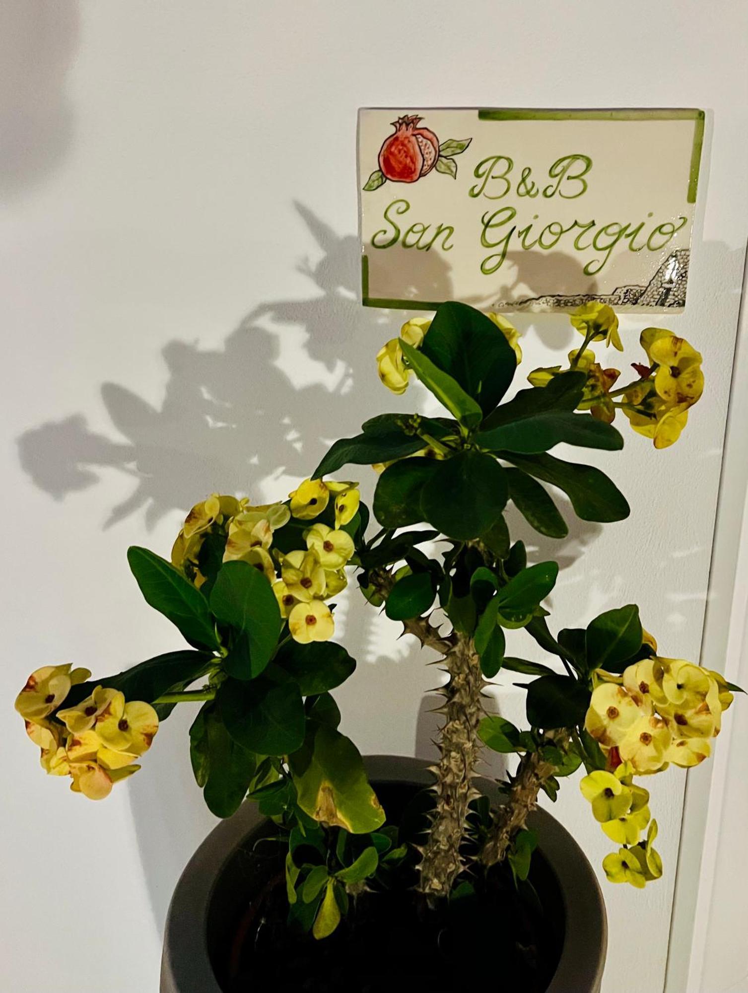 B&B Sangiorgio Borgagne Eksteriør bilde